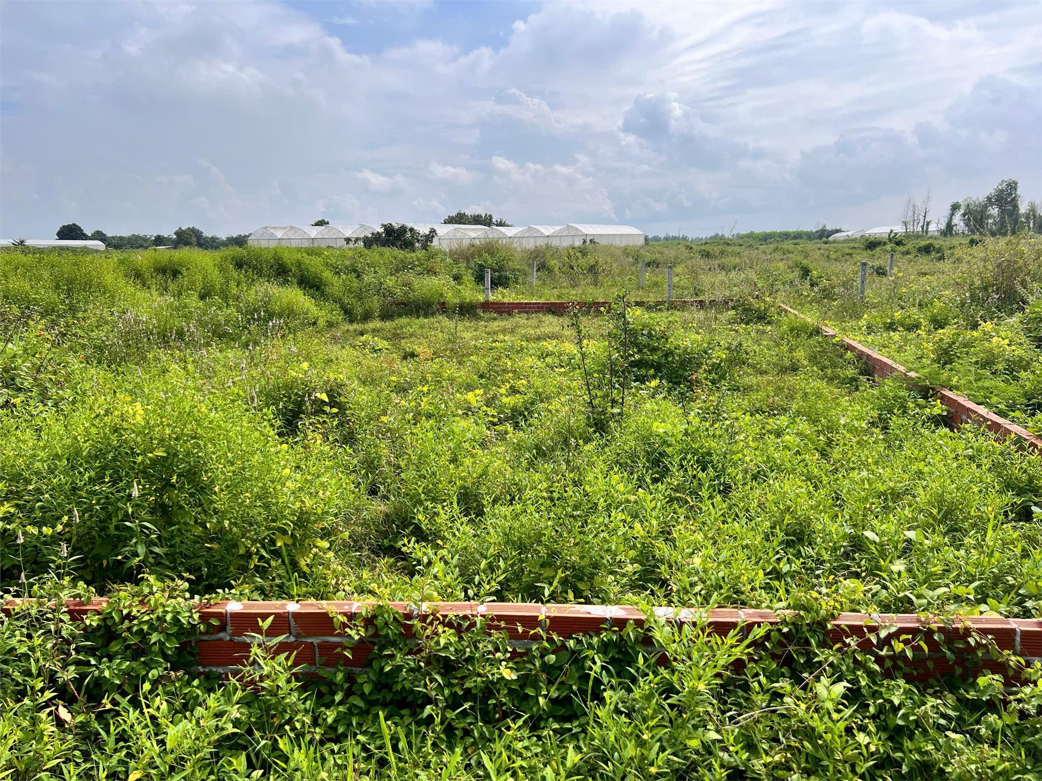 HOT HOT – CẦN BÁN NHANH ĐẤT KCN ĐẤT ĐỎ - xã Phước Long Thọ, huyện Đất Đỏ, tỉnh BR-VT