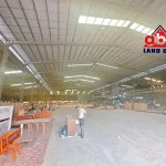  6000m2 - 3