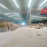 6000m2 - 4