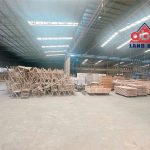  6000m2 - 5