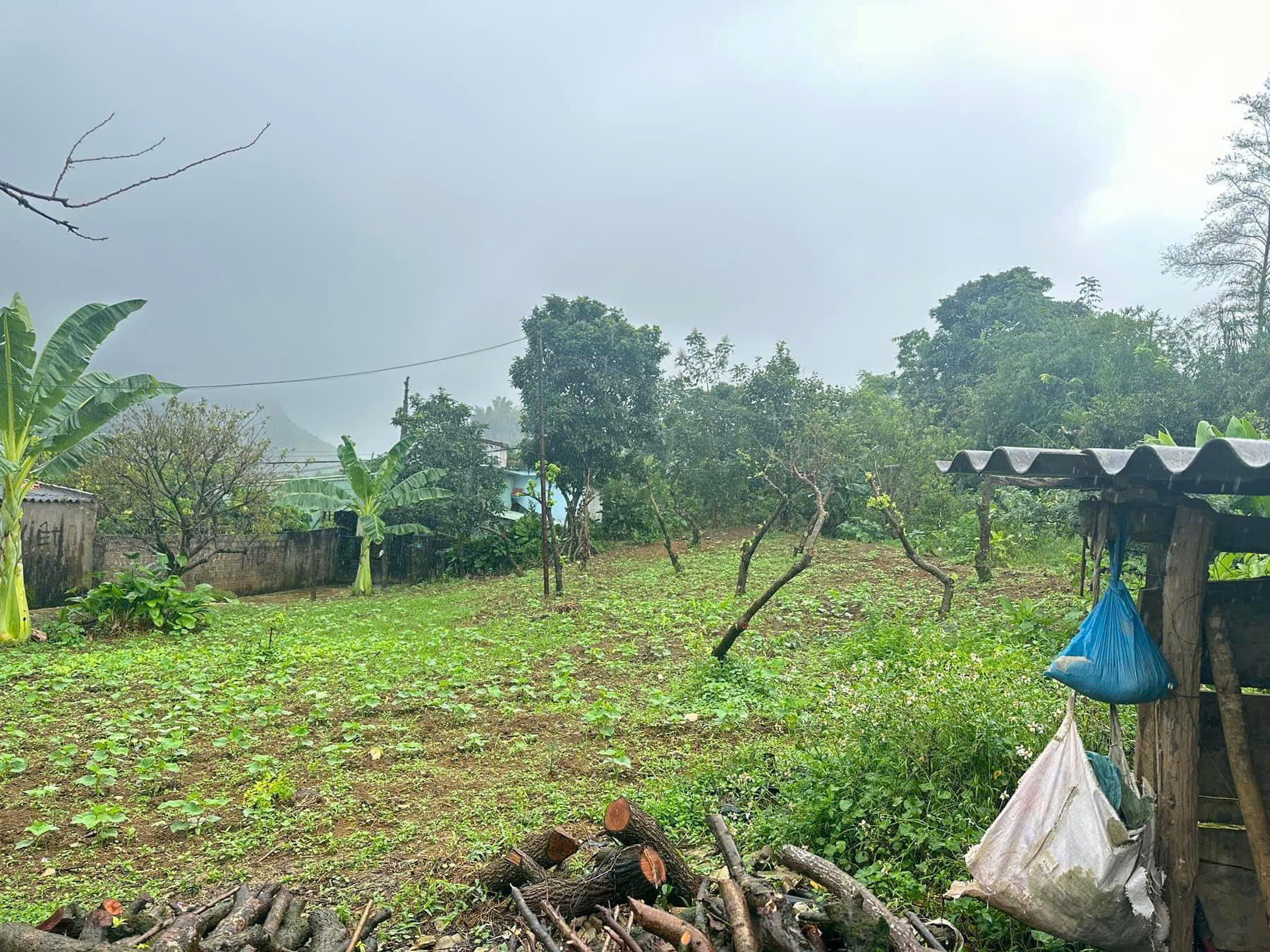 Đất nền đầu tư Mộc Châu giá rẻ đón sóng đầu tư tiềm năng tăng giá cao
