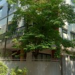  230m2 - 4