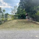  250m2 - 1