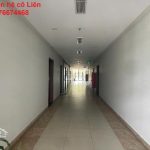  66m2 - 1