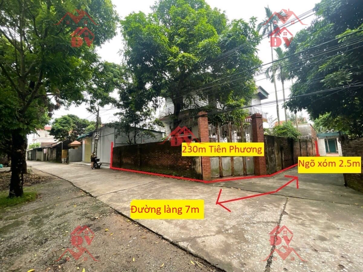 BÁN LÔ ĐẤT GIÁ ĐẦU TƯ TRUC CHÍNH KINH DOANH 10TY400TR ĐẤT TẠI TIÊN PHƯƠNG-CHƯƠNG MỸ DIỆN TÍCH 230M