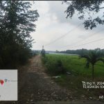  16000m2 - 5