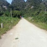  5000m2 - 5
