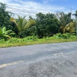  600m2 - 1