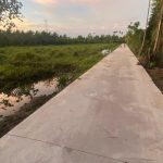  1000m2 - 1