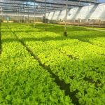  550000m2 - 4
