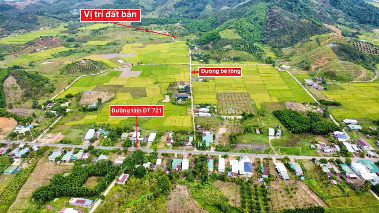 Lô đất 420m2 gần full thổ cư ngang 8m mặt tiền đường bê tông view cánh đồng và đồi sầu riêng mát mẻ cách tỉnh lộ 400m