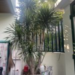  75m2 - 3