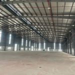  6000m2