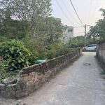  31m2 - 3