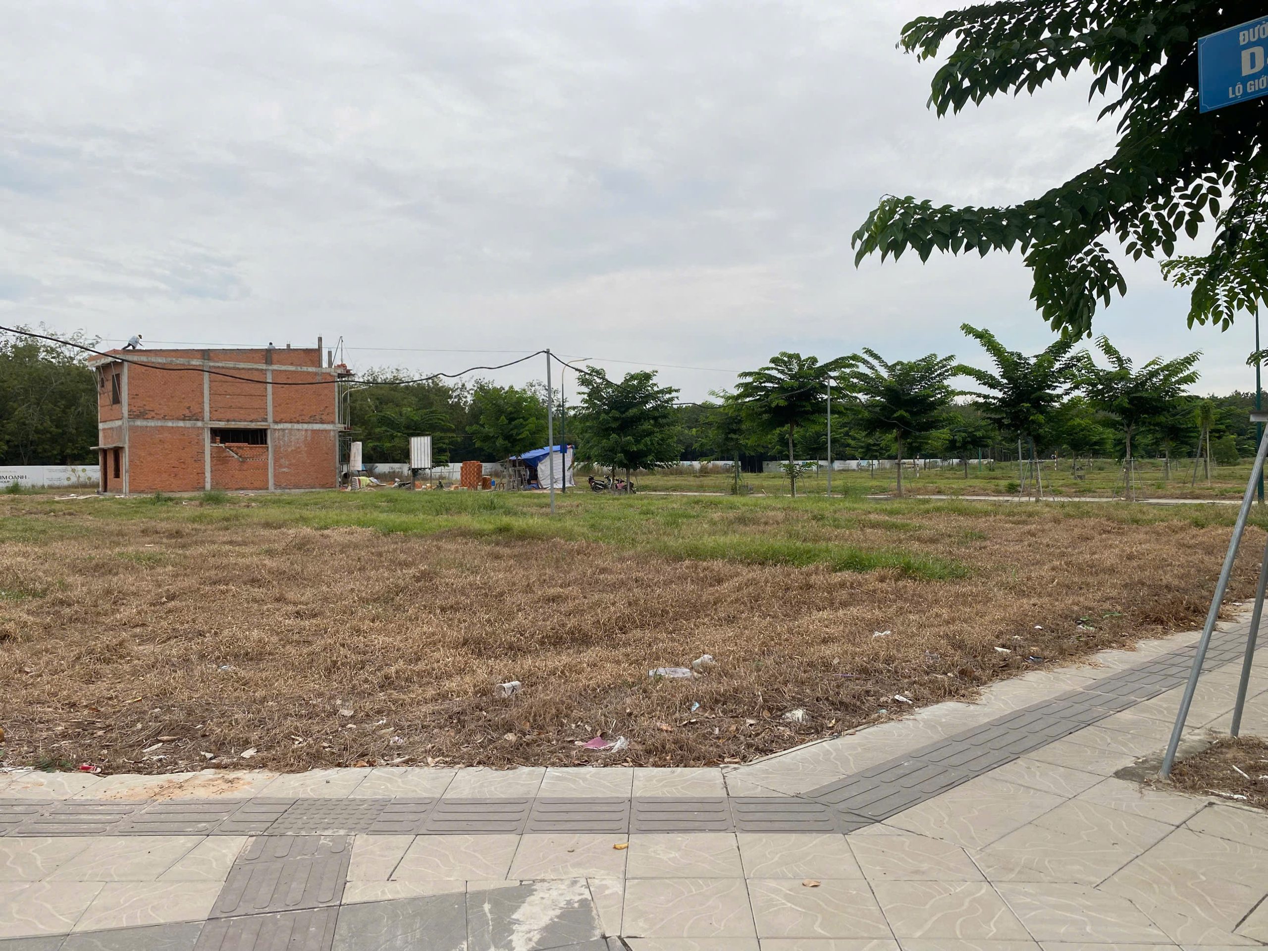 Đất nền tiềm năng tại Hòa Lợi, TP Bến Cát - Thích hợp ở hoặc đầu tư!