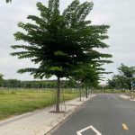 80m2 - 4