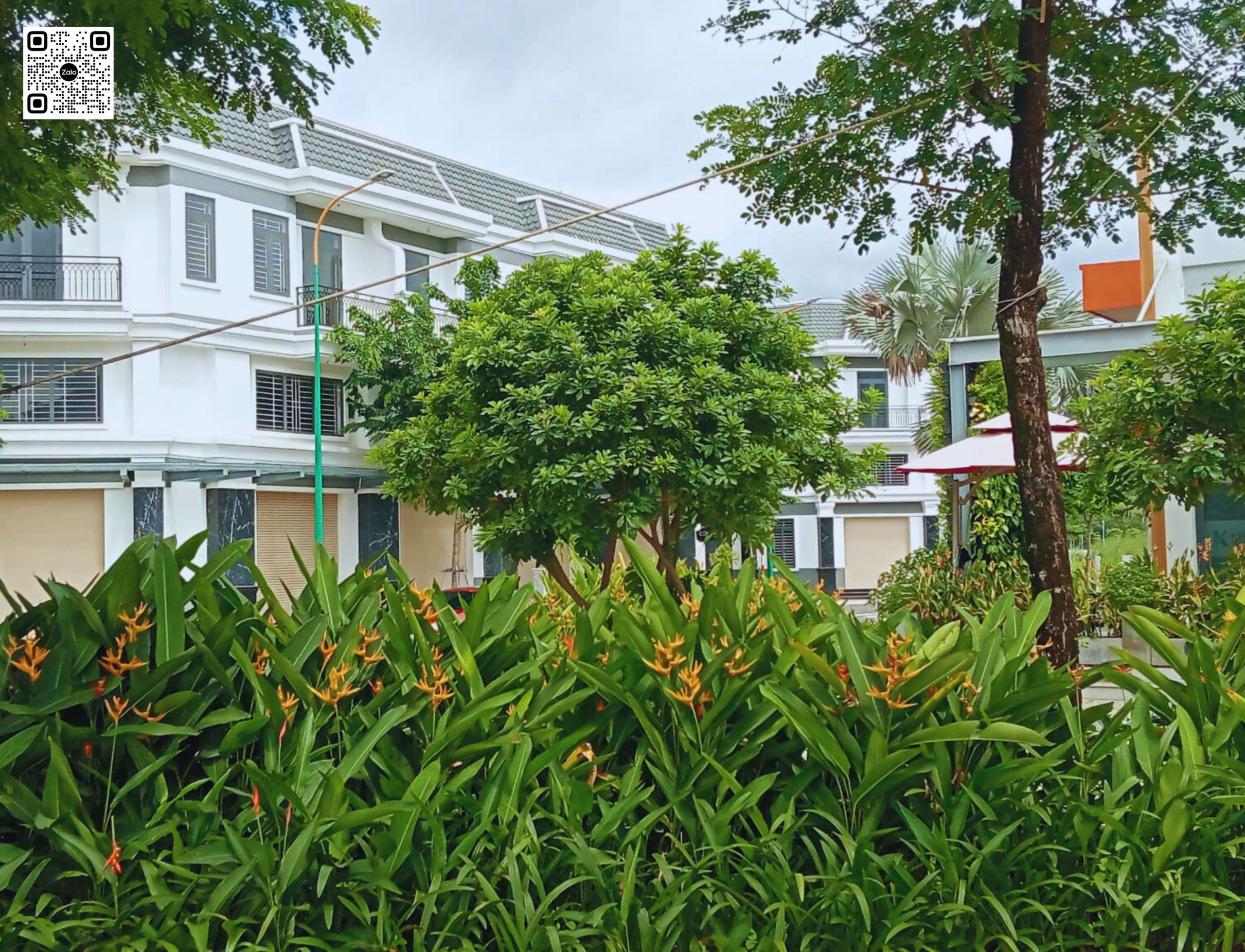 Cơ Hội Sở Hữu Nhà Phố Cuối Năm – 5x16m (Thổ Cư 100%) – Hòa Lợi, Bến Cát – Giá Chỉ 2,66 Tỷ – Gần KCN Lớn (VSIP 2, Mỹ