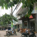  300m2 - 5