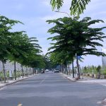  85m2 - 1