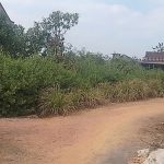 660m2 - 6