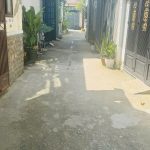 42m2
