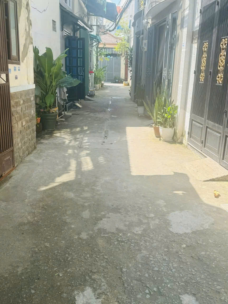 42m2