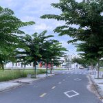  80m2 - 1