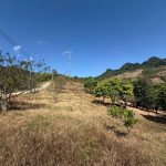  9000m2 - 1