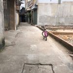  46m2 - 1