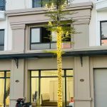  60m2 - 7