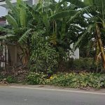 100m2