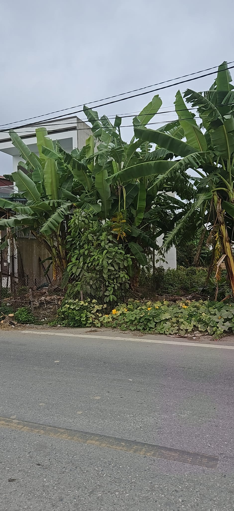 100m2