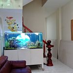  60m2 - 1