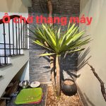  70m2 - 5