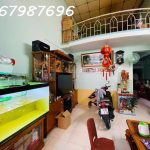  70m2 - 3