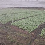  10130m2 - 4