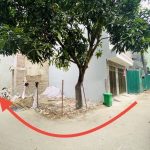 40m2 - 1