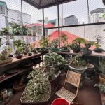  50m2 - 6