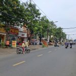  100m2 - 6