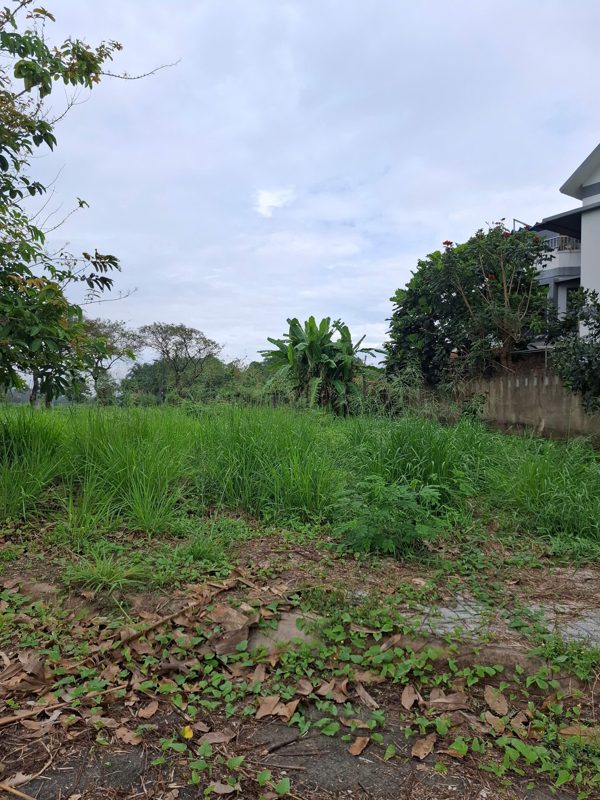 Bán đất Đường 7 kề bên Sông Tắc Trường Thạnh Quận 9 giá 11 tỷ