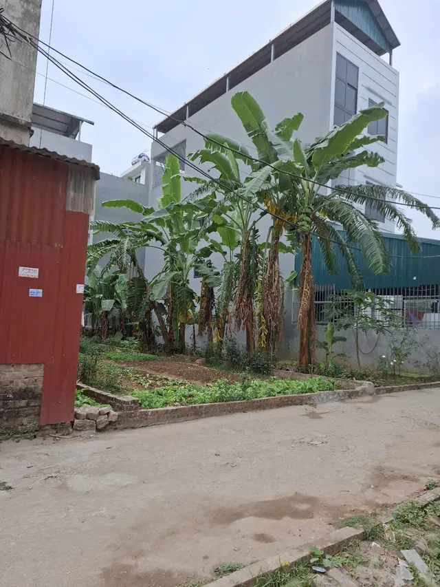 Bán đất phân lô xóm 4 Xã Hải Bối, huyện Đông Anh diện tích 120m2, mặt tiền 5.4m.