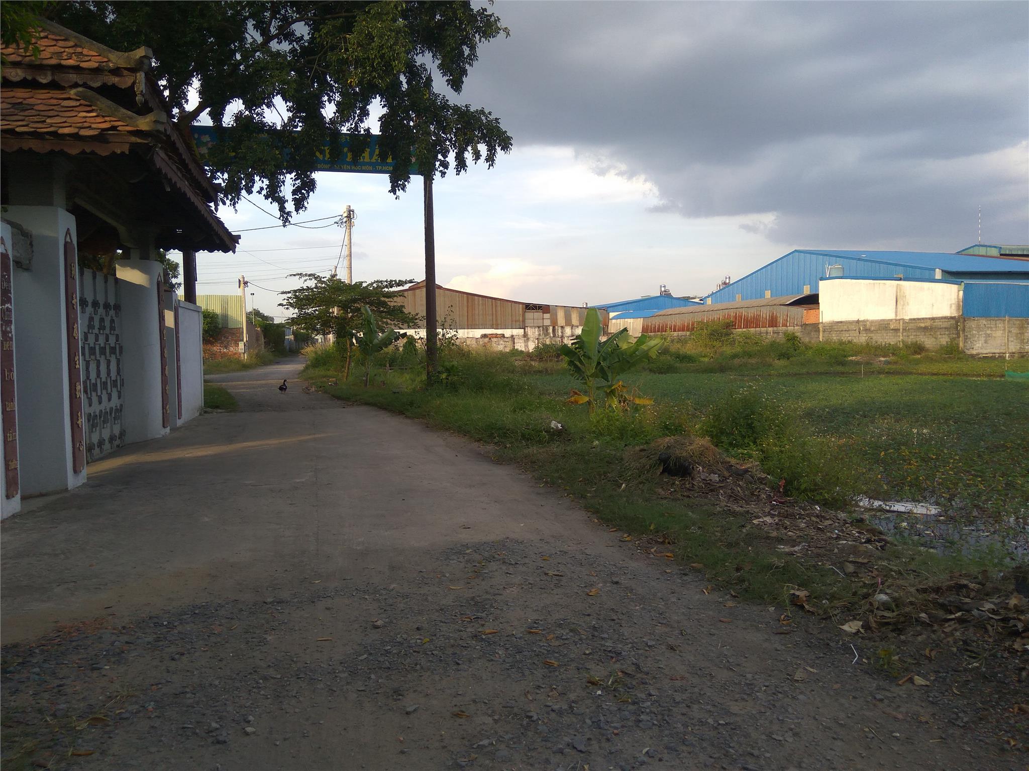 Bán Đất Truc Trần Văn Mười Huyện Hóc Môn