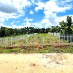  1290m2 - 3