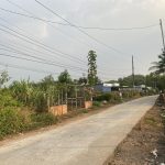  181m2 - 1