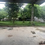 262m2