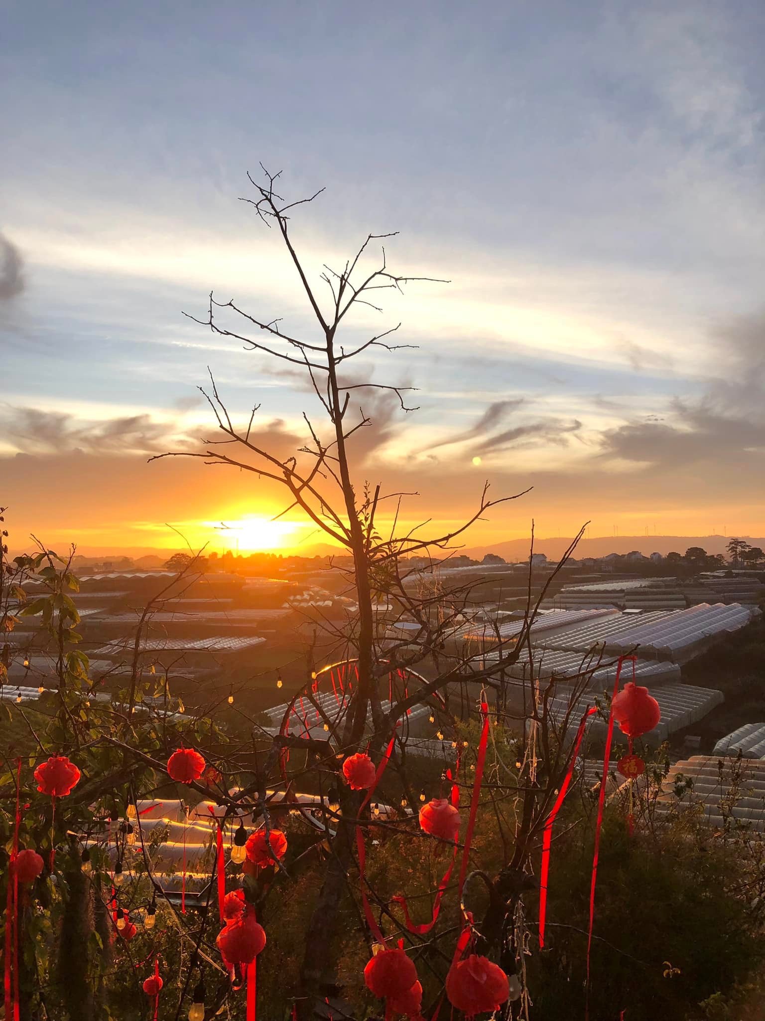 Cần bán Homestay 4 tầng 10 phòng tại Đà Lạt, cam kết giá rẻ nhất thị trường. 0867431115