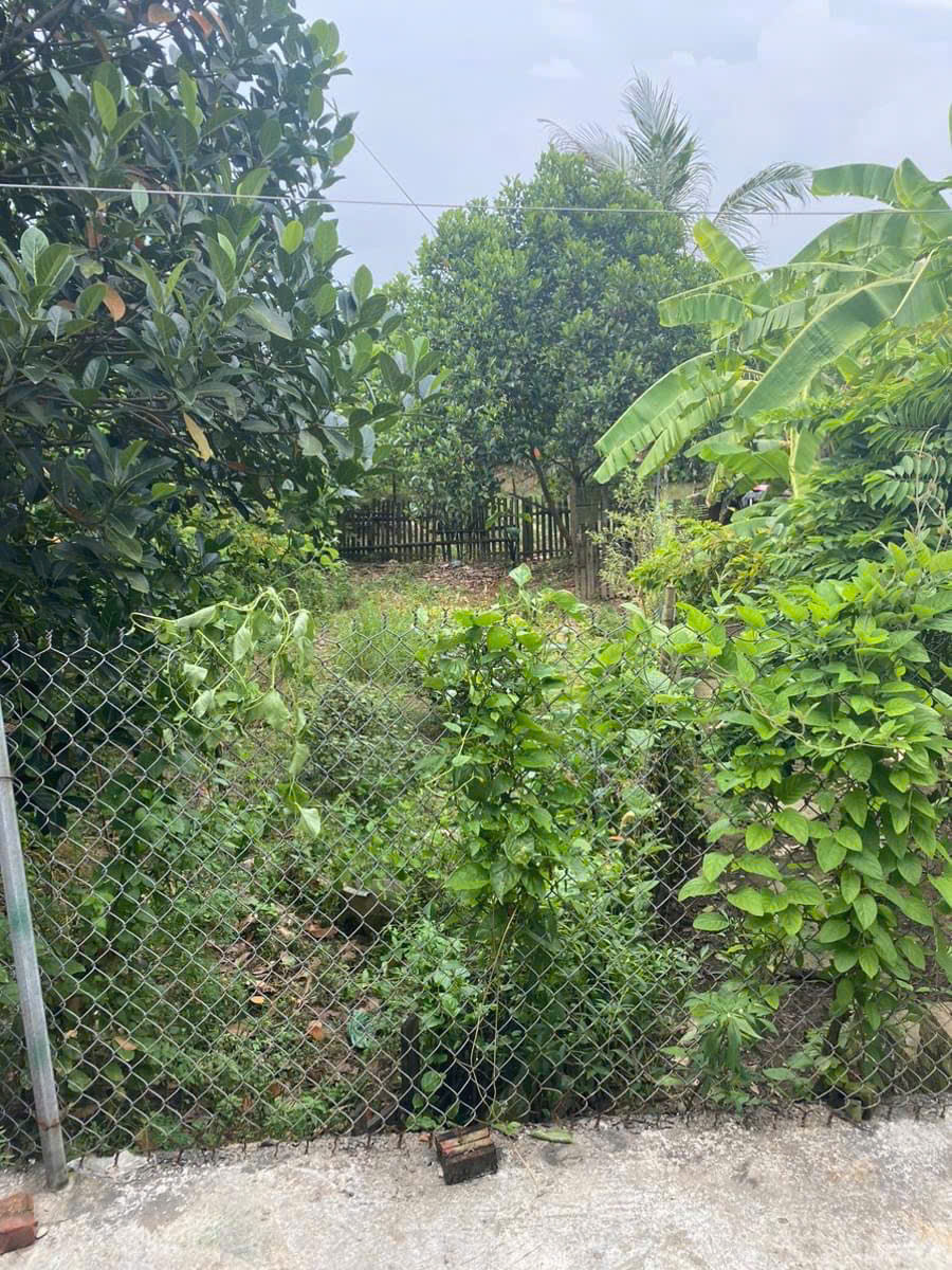 80m2