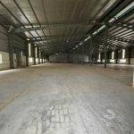  3000m2 - 3