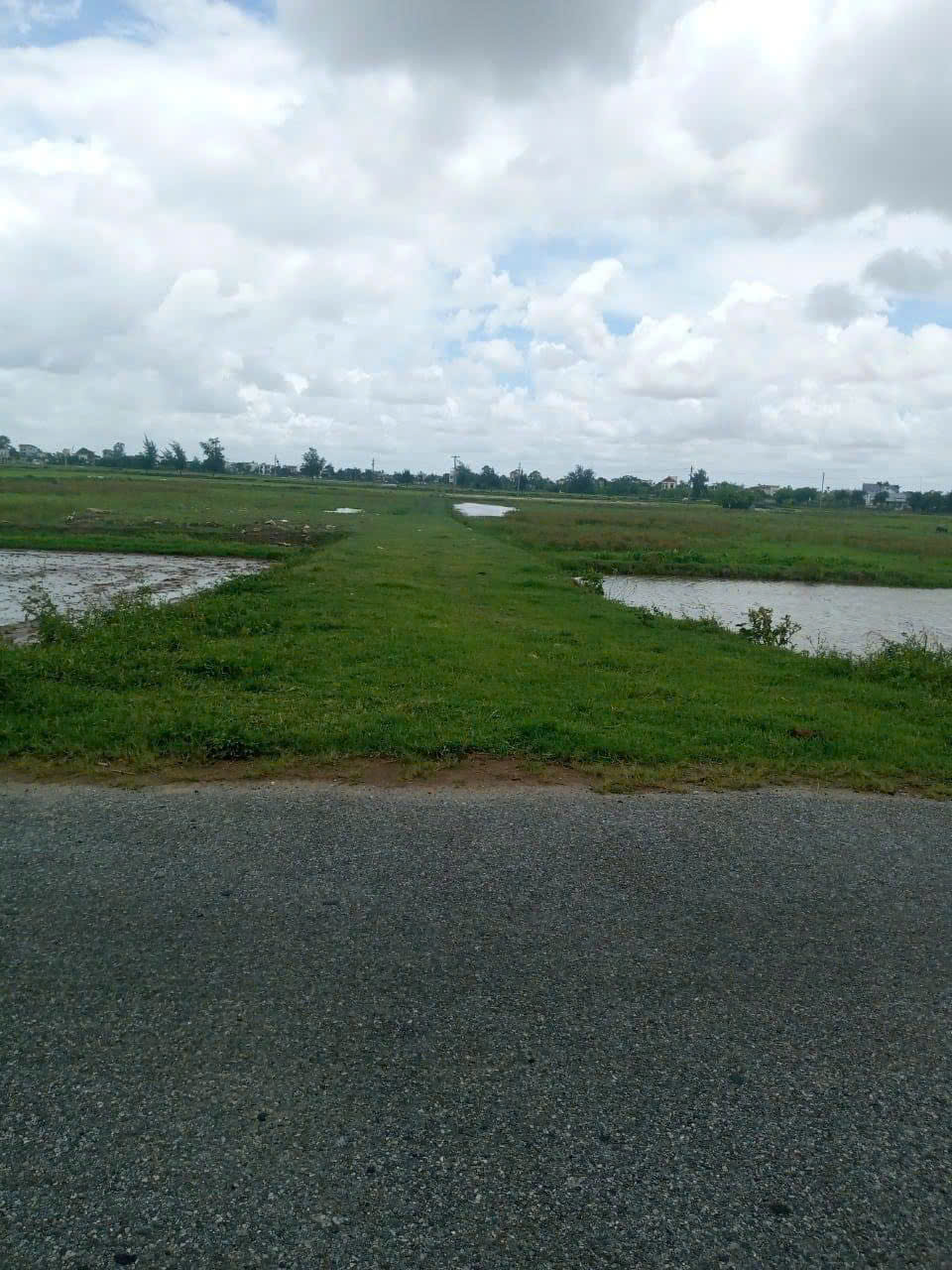 80m2