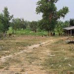  7200m2 - 6